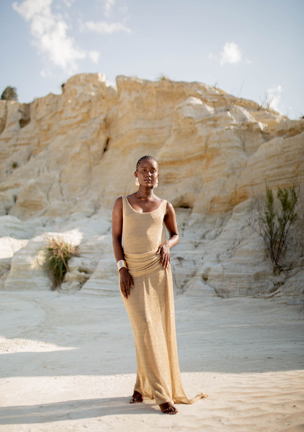 KELE SHEER DRESS - Image 3