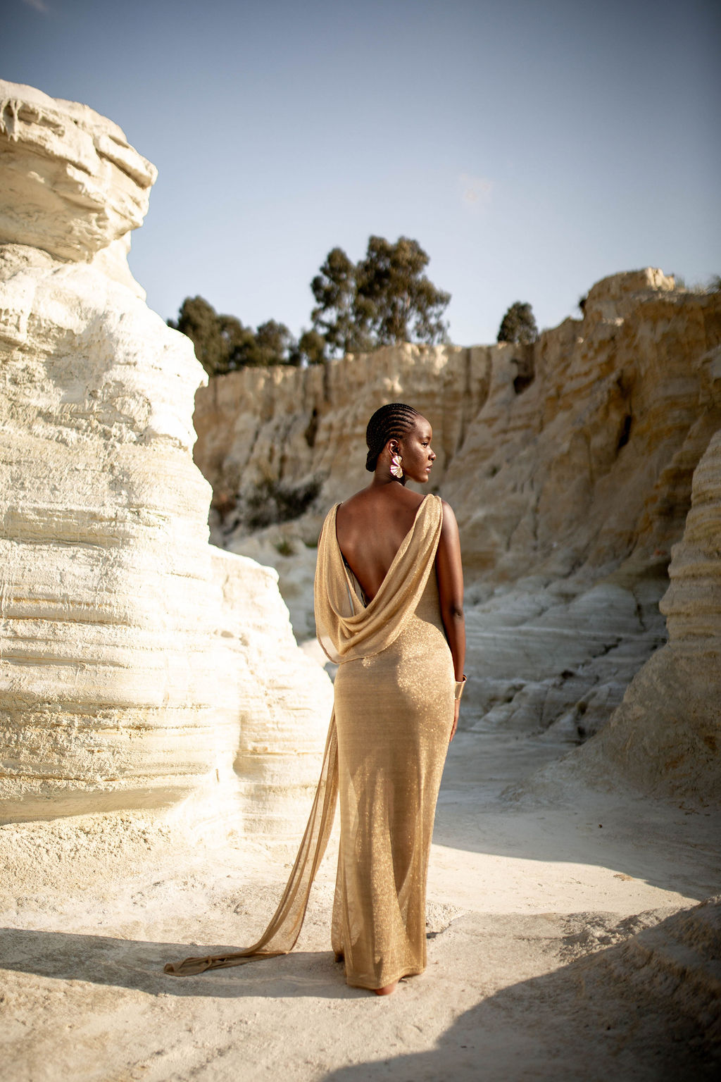 KELE SHEER DRESS - Image 2